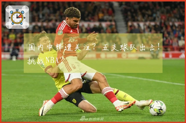 国内中锋遭关注？五支球队出击！挑战NBA？