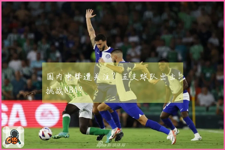 国内中锋遭关注？五支球队出击！挑战NBA？